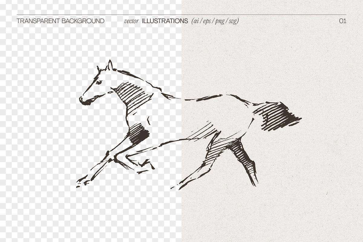 Galloping Horse Sketch, an Animal Illustration by TheMountBirdStudio (Photo 2 of 6)