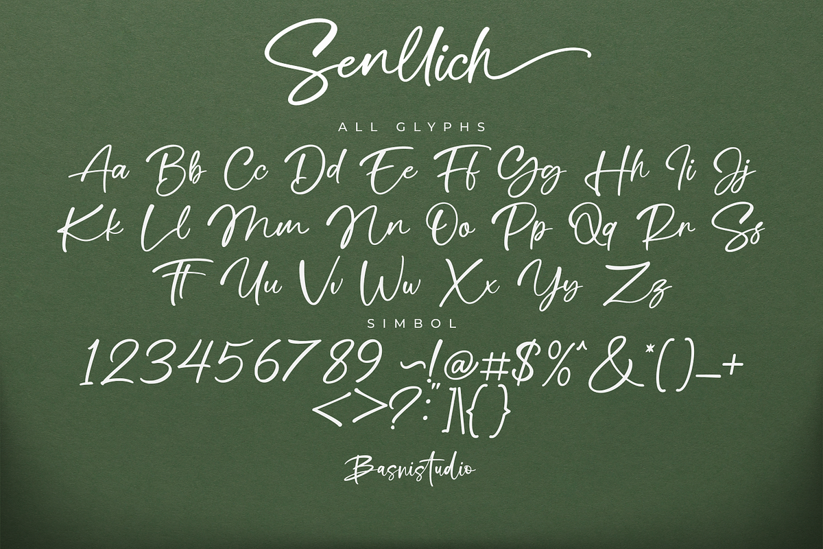 Senllich Handwritten Font, a Handwritten Font by Basnistudio (Photo 13 of 14)