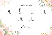 Beautiful | Script Font, a Handwritten Font by Scratchones (Thumbnail 8 of 9)
