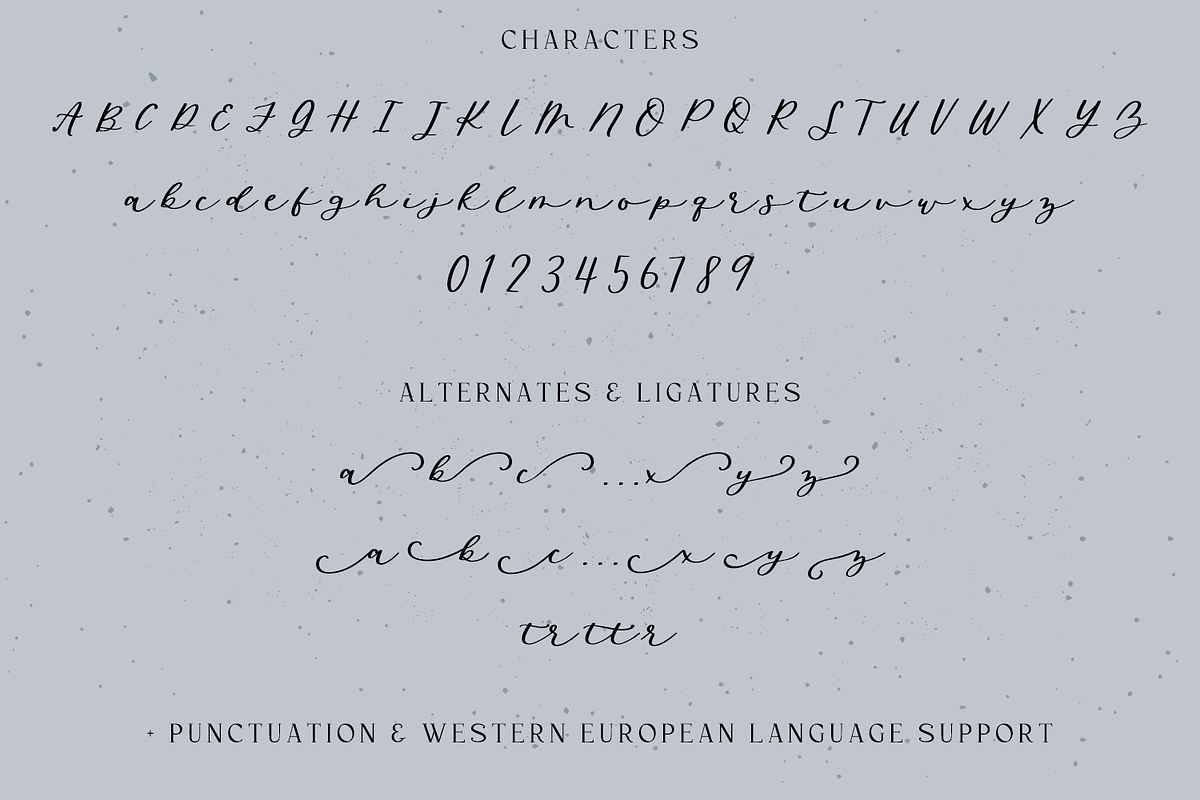 Wild Honey - Script with Swashes, a Handwritten Font by Beck McCormick (Photo 10 of 10)