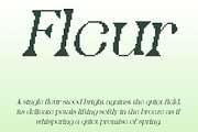 Qianzy Pixel, a Serif Font by Craft Supply Co. (Thumbnail 2 of 8)