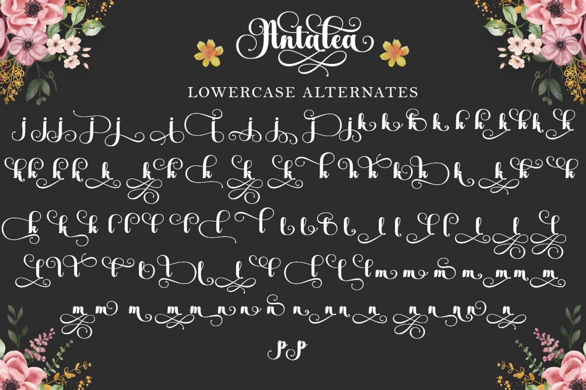 Antalea, a Script Font by IM Studio (Photo 12 of 12)
