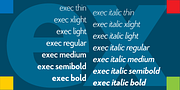 Exec, a Sans Serif Font by Wiescher-Design (Thumbnail 4 of 12)