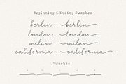 Clandia Monoline Script & Ornaments, a Script Font by Typebae (Thumbnail 3 of 12)
