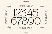 TAN - MIGNON, a Font by TanType (Thumbnail 15 of 17)