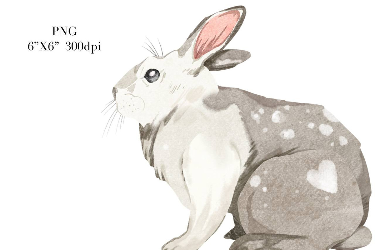 Watercolor Easter Clipart. Rabbit, an Animal Illustration by NKTKNS (Photo 4 of 4)