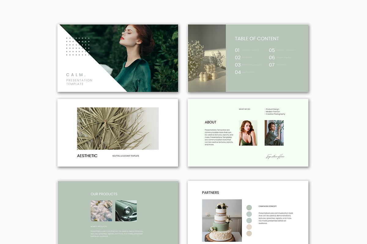 Modern PowerPoint Presentation, a Presentation Template by Templits (Photo 3 of 10)