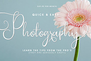 Southfall Script Font, a Script Font by Creativeqube Design (Thumbnail 7 of 14)