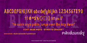 Blue Note™, a Serif Font by MINDCANDY (Thumbnail 5 of 8)