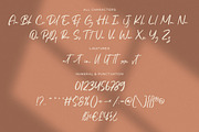 Aster Sphin - Script Font, a Script Font by Krakenbox Studio (Thumbnail 9 of 11)