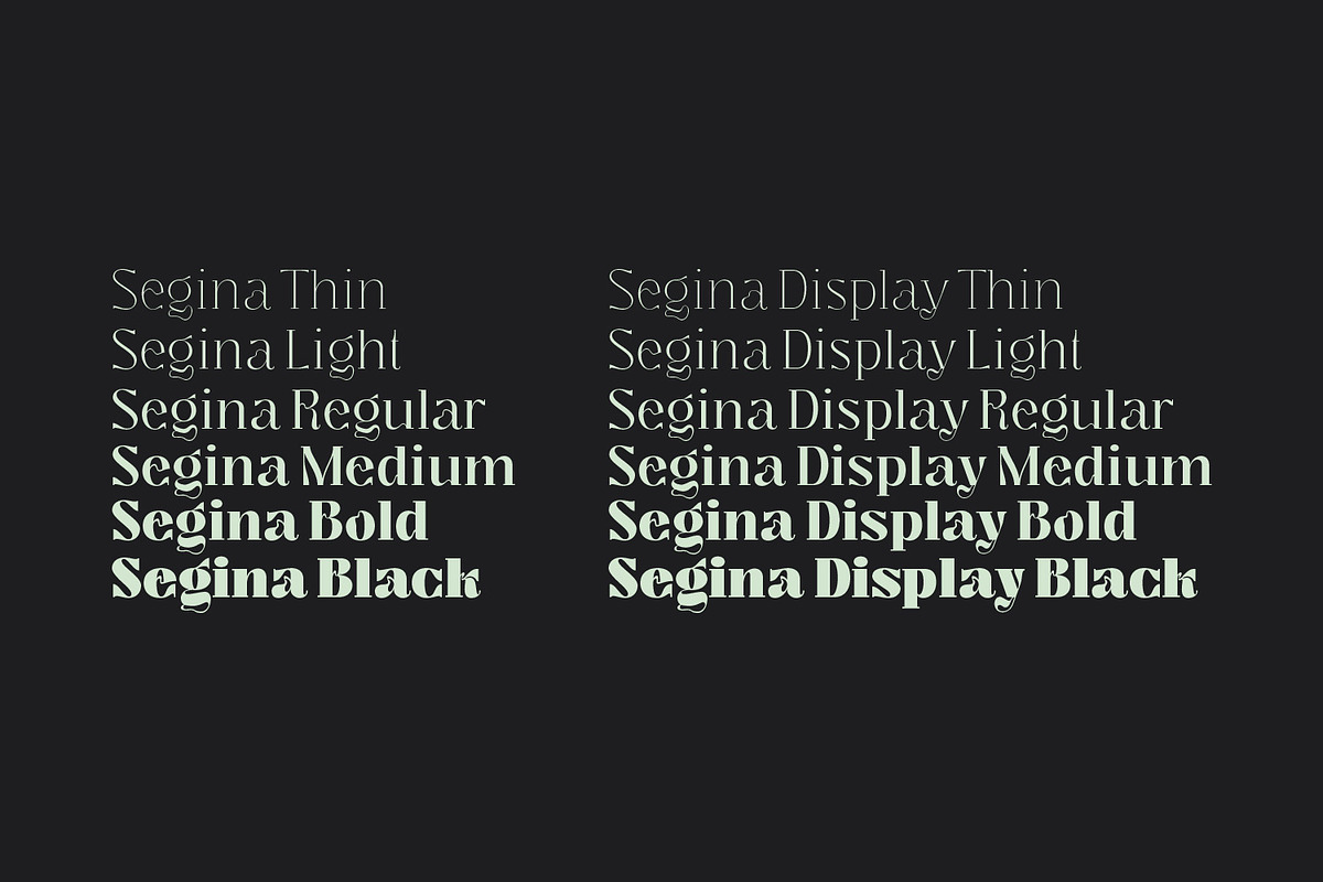 Segina - Decorative Serif, a Serif Font by creativemedialab (Photo 8 of 12)