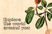 RingOFire, a Font by Cool Fonts (Thumbnail 3 of 6)