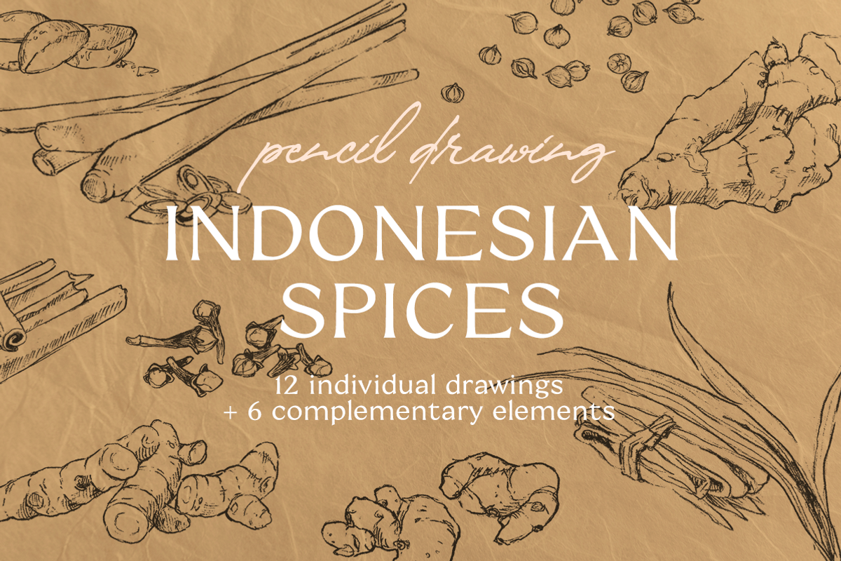 Pencil Drawing Indonesian Spices, an Illustration by elpple (Photo 1 of 4)