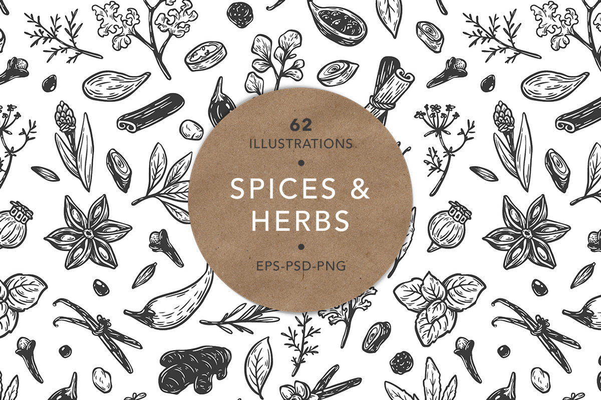 Spices and Herbs. Vector, an Illustration by Olga Olmix (Photo 1 of 2)