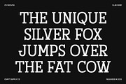 CS Wichita – Slab Serif Font, a Slab Serif Font by Craft Supply Co. (Thumbnail 7 of 8)