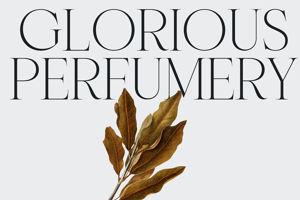 Swandale; Elegant Serif Font, a Serif Font by Eko Bimantara (Photo 13 of 17)