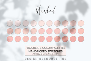 Procreate Color Palette Blushed