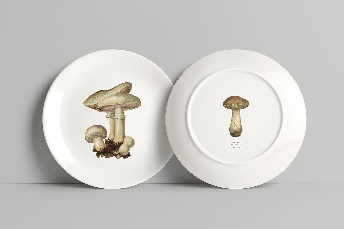 Fungi - Vintage Illustrations, an Illustration by Graphic Goods (Photo 2 of 9)