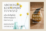 Grafies | Classy Ligature Serif, a Serif Font by BrandSemut (Thumbnail 10 of 10)