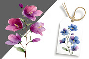 Watercolor Spring Clipart Bundle, a Healthcare Illustration by DreamCafeArt (Thumbnail 4 of 8)