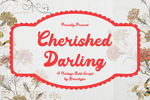Cherished Darling Vintage Script, a Script Font by gracetype_studio