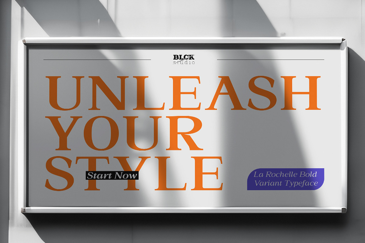La Rochelle | Serif Family-83 Style, a Serif Font by Black Studio (Photo 14 of 15)