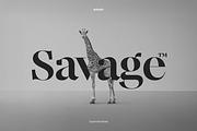 Animal, a Serif Font by Latinotype (Thumbnail 6 of 14)