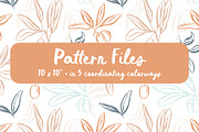 Mediterranean Olives Graphic Set, a Graphic by Alicia Bruce Creative (Thumbnail 4 of 8)