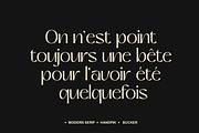 Ramole Elegant Serif, a Serif Font by Luna Shop (Thumbnail 8 of 9)
