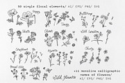 Hand-Drawn Wildflowers, a Decorative Illustration by Decor Lines (Thumbnail 2 of 10)