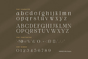 Daily Ramide Serif Font, a Serif Font by Perfectype (Thumbnail 7 of 8)
