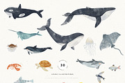 Watercolor Sea collection, an Animal Illustration by annartdreams (Thumbnail 9 of 13)