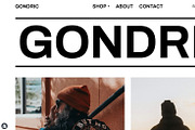 Gondric - Multipurpose Shopify Theme, a Shopify Template by KUSAProjects (Thumbnail 7 of 12)
