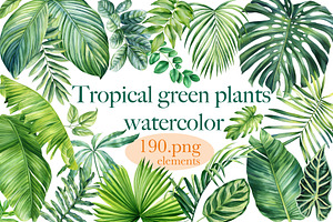 Tropical Green Plants Watercolor