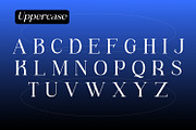 Remindia - Modern Serif Font, a Serif Font by Rishsketch (Thumbnail 13 of 14)