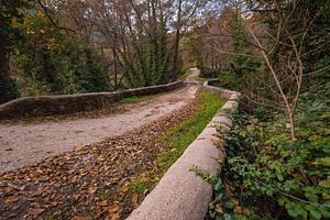 Old rural bridge surrounded by veget, an Architecture Photo by Perpis