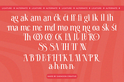 Malika Rosse, a Serif Font by saemoon creative (Thumbnail 9 of 15)
