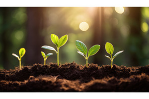 Young green plants sprouting from, a Nature Photo by Igor Tichonow