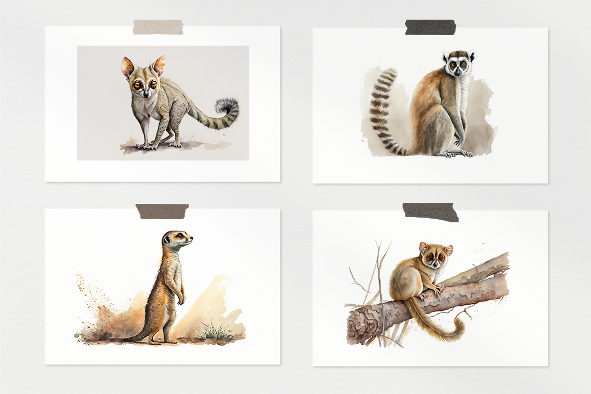 Safari Watercolor Collection, an Animal Illustration by artsy-fartsy (Photo 5 of 13)