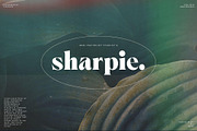 Ornable Experimental Typeface, a Serif Font by Casloop Studio (Thumbnail 4 of 8)