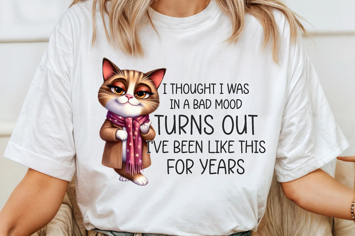 Funny Cat Sarcastic Sassy PNG, an Illustration by SinaCreation (Photo 10 of 20)