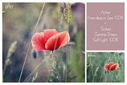 Summer Collection - PS Bundle, an Action Add-On by LovePhotoMoment (Thumbnail 16 of 23)