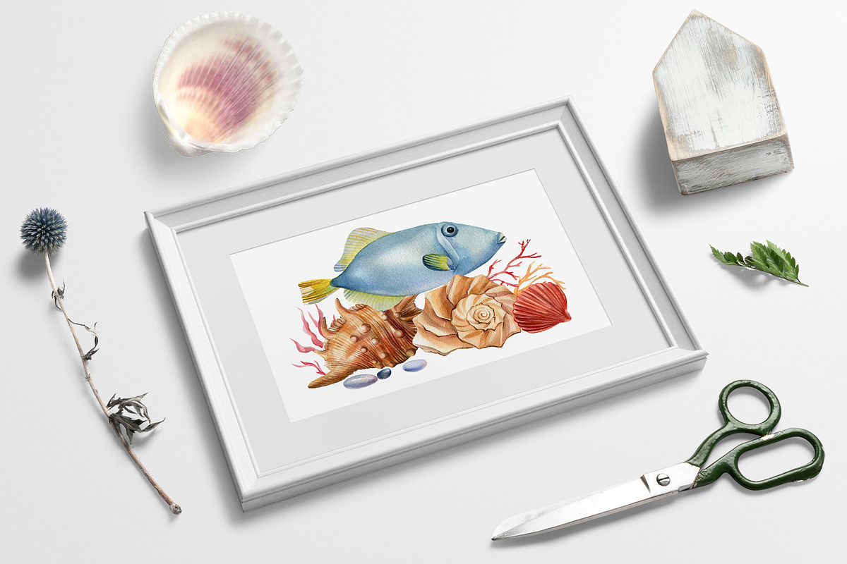Seashells and fish, watercolor, an Animal Illustration by Hanna Hryharenka (Photo 13 of 20)