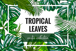 Tropical leaves. Vector Collection