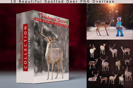 10 - Christmas Deer PNG Overlays