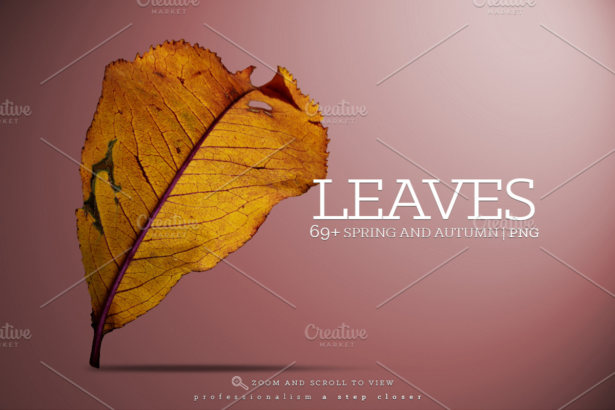 Big Bundle Scene Creator +1531 Items, a Product Mockup by 2MK (Photo 9 of 21)