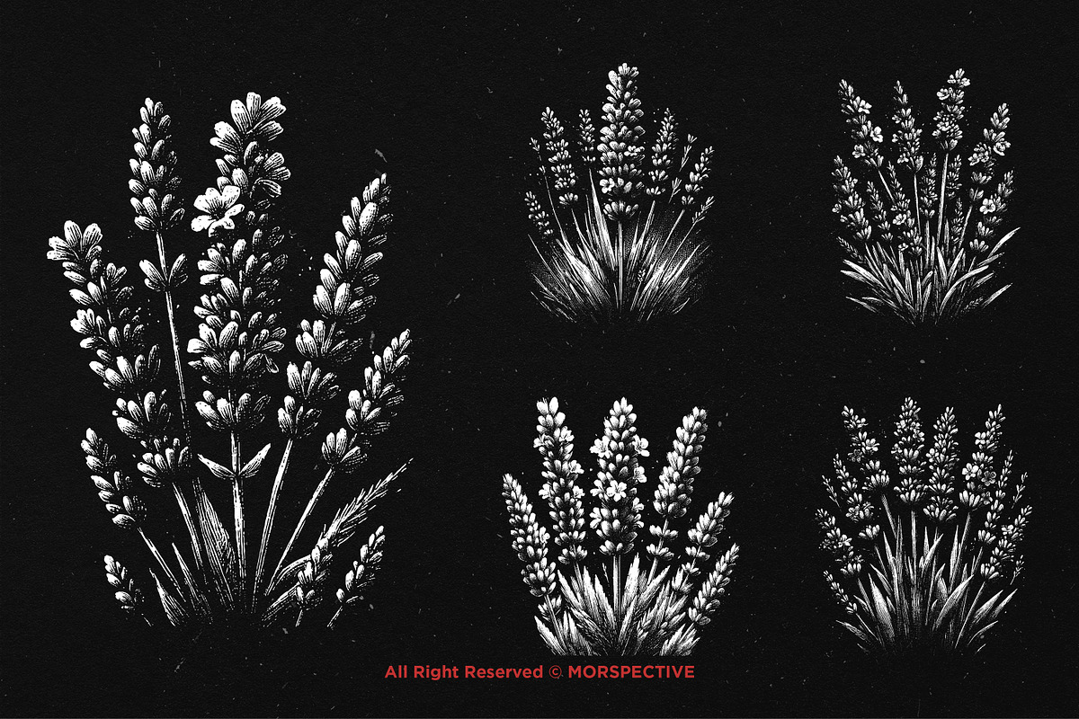 10 Bundle Dark Art Lavender Flower, an Illustration by Morspective (Photo 5 of 7)