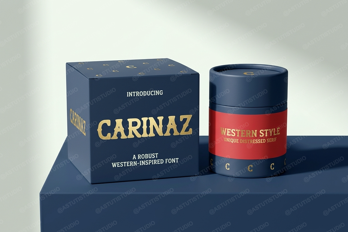 CarinaZ | Elegant Modern Serif, a Serif Font by Astuti Studio (Photo 20 of 25)