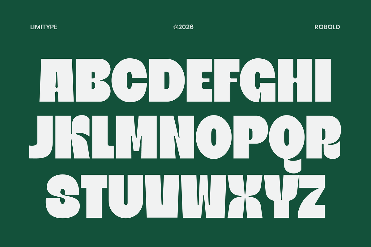 Robold - Bold Display Font, a Sans Serif Font by limitype (Photo 8 of 12)