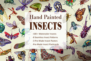 Hand Painted Insect Set